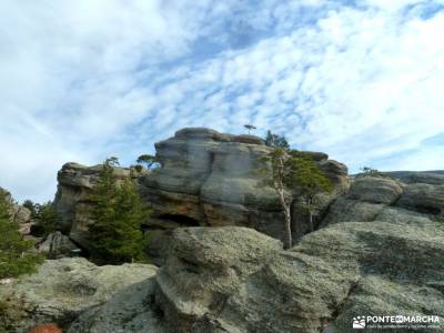 Picos Urbión-Laguna Negra Soria;ocejon juniperus thurifera puente poncebos viajazo las cinco villas